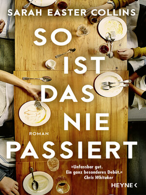 cover image of So ist das nie passiert